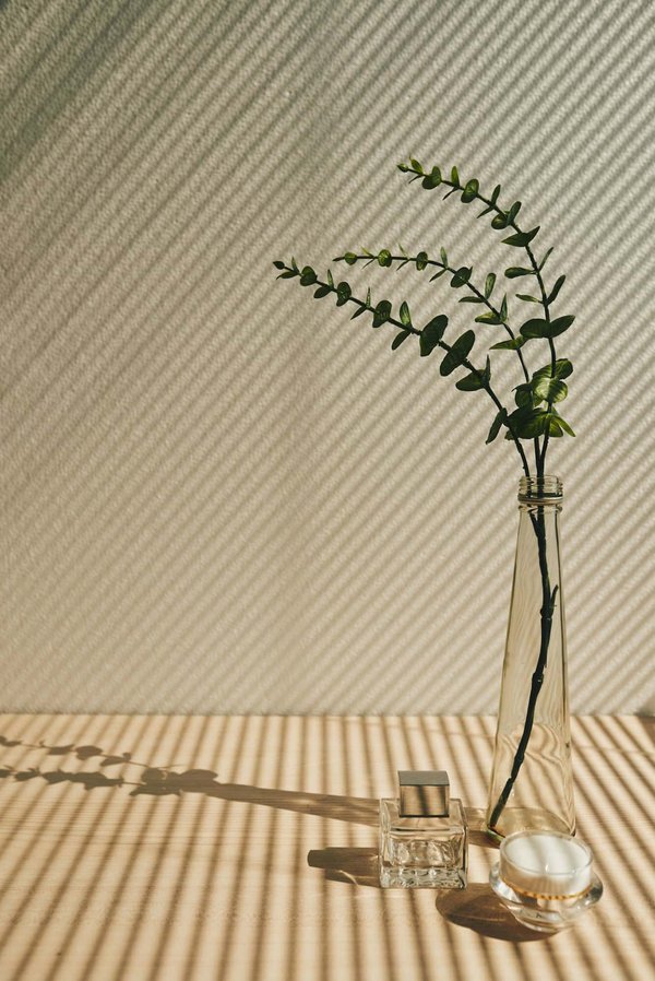 Le guide ultime pour choisir le vase soliflore parfait pour chaque occasion